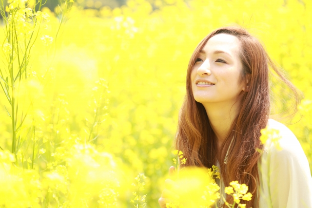 �������؂�铌��,�L���b�V���O����,����ҋ��Z����,�X������,�T��������